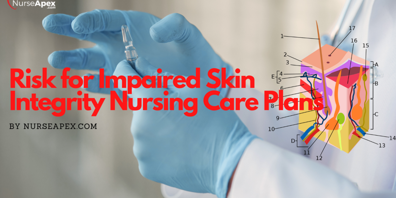 Risk for Impaired Skin Integrity Nursing Care Plans